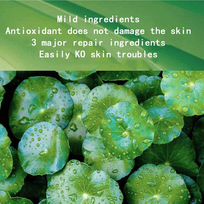30-Pack Centella Asiatica Collagen Sleeping Masks – Brightening, Firming & Deeply Moisturizing Korean Skincare Treatment